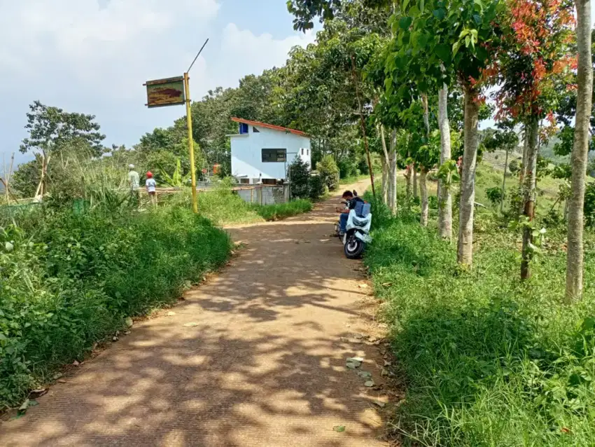 Jual Tanah Luas dan Murah Pinggir jalan desa Area Ciwidey