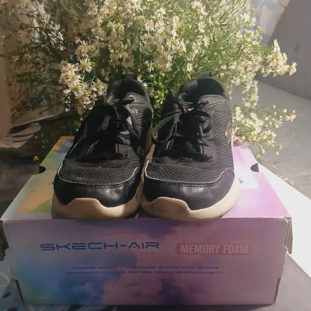 Sepatu Sketcher Original