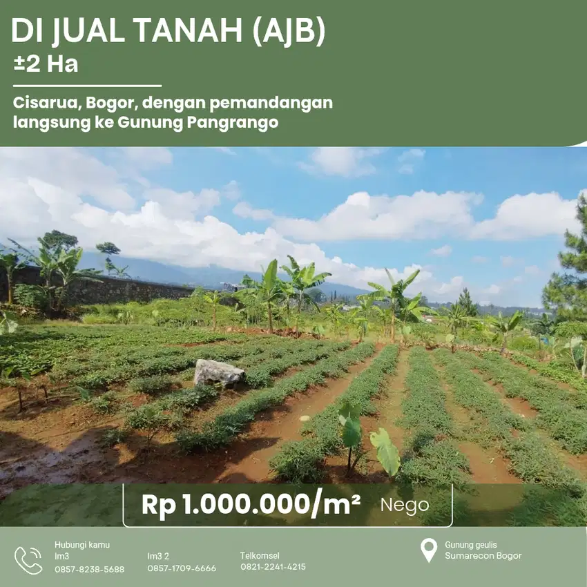 Tanah ±2 Ha View Gunung Pangrango – Cisarua, Harga 1 Jt/m² (AJB)