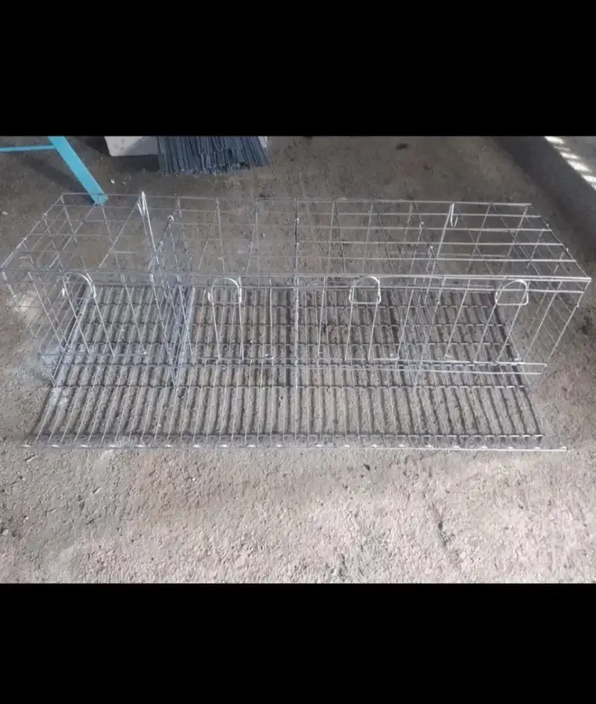 Kandang baterai ayam petelur