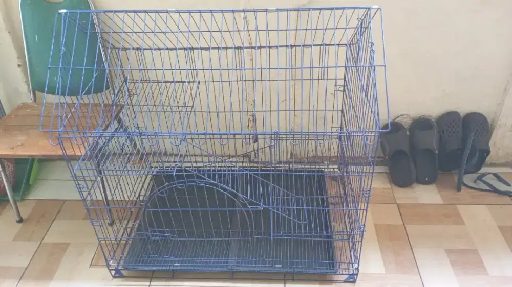 Jual kandang kucing jumbo