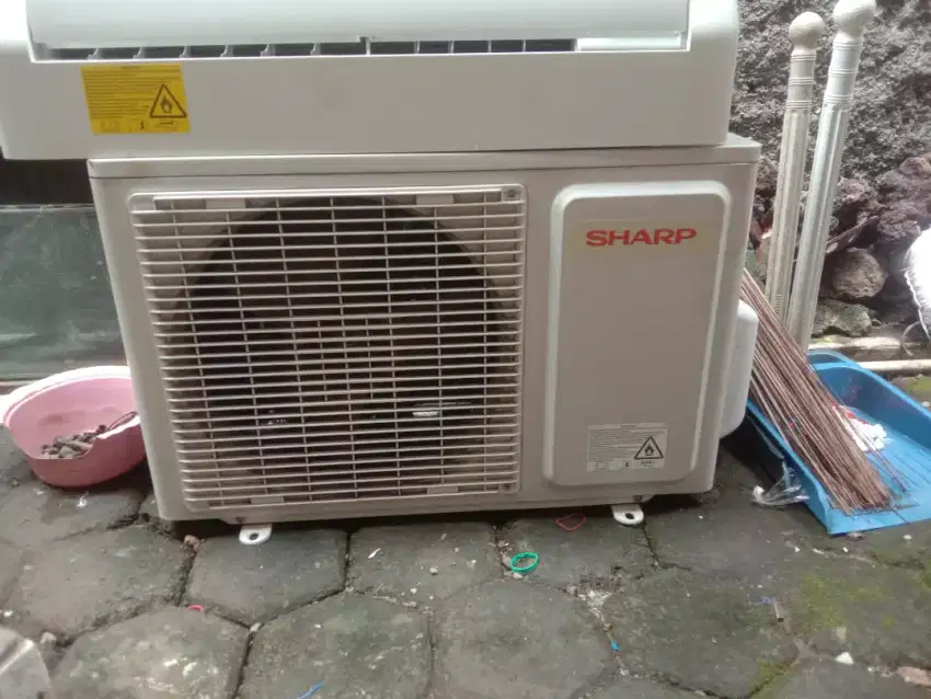 Ac sharp 1/2 pk