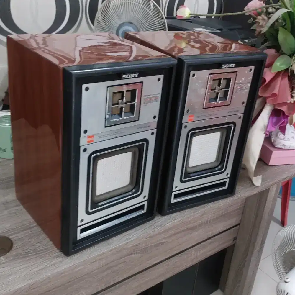 SONY APM 550 AV Speaker