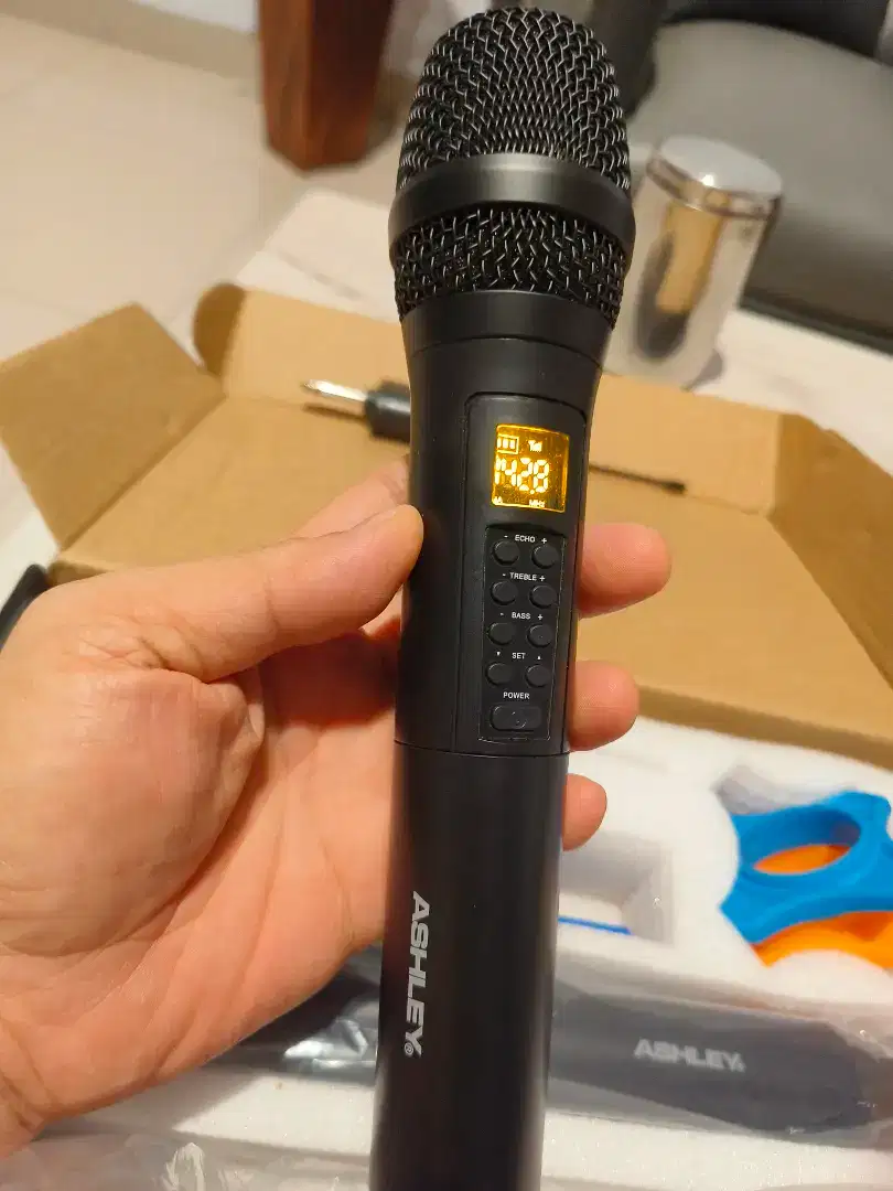 ASHLEY Mic Wireless E-Cho