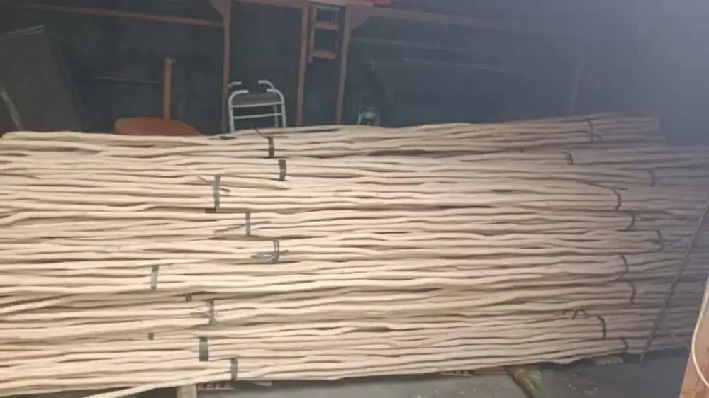 Kayu Galam Kalimantan