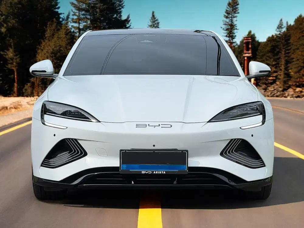 BYD SEAL PERFORMANCE 3.8 AWD At 2024 km +/- 7.000