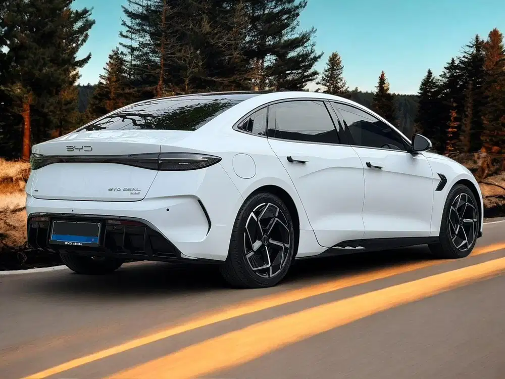 BYD SEAL PERFORMANCE 3.8 AWD At 2024 km +/- 7.000