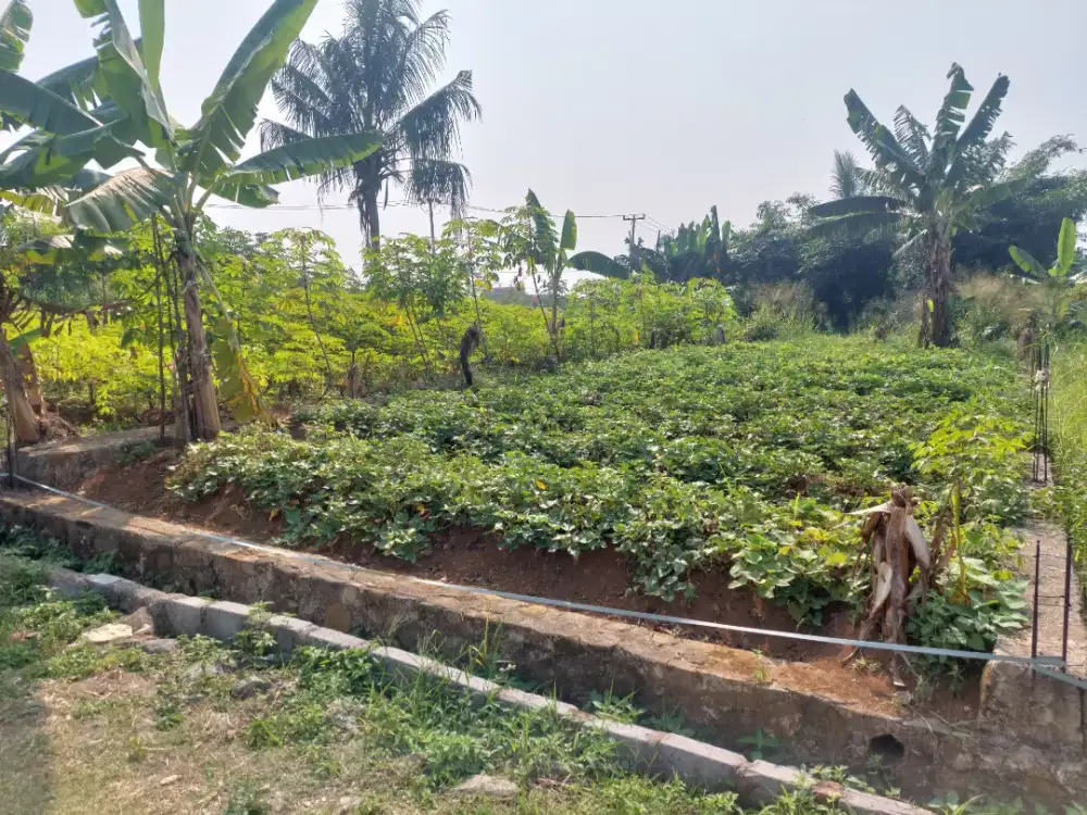 Di jual tanah kavling indah kenanga Residence