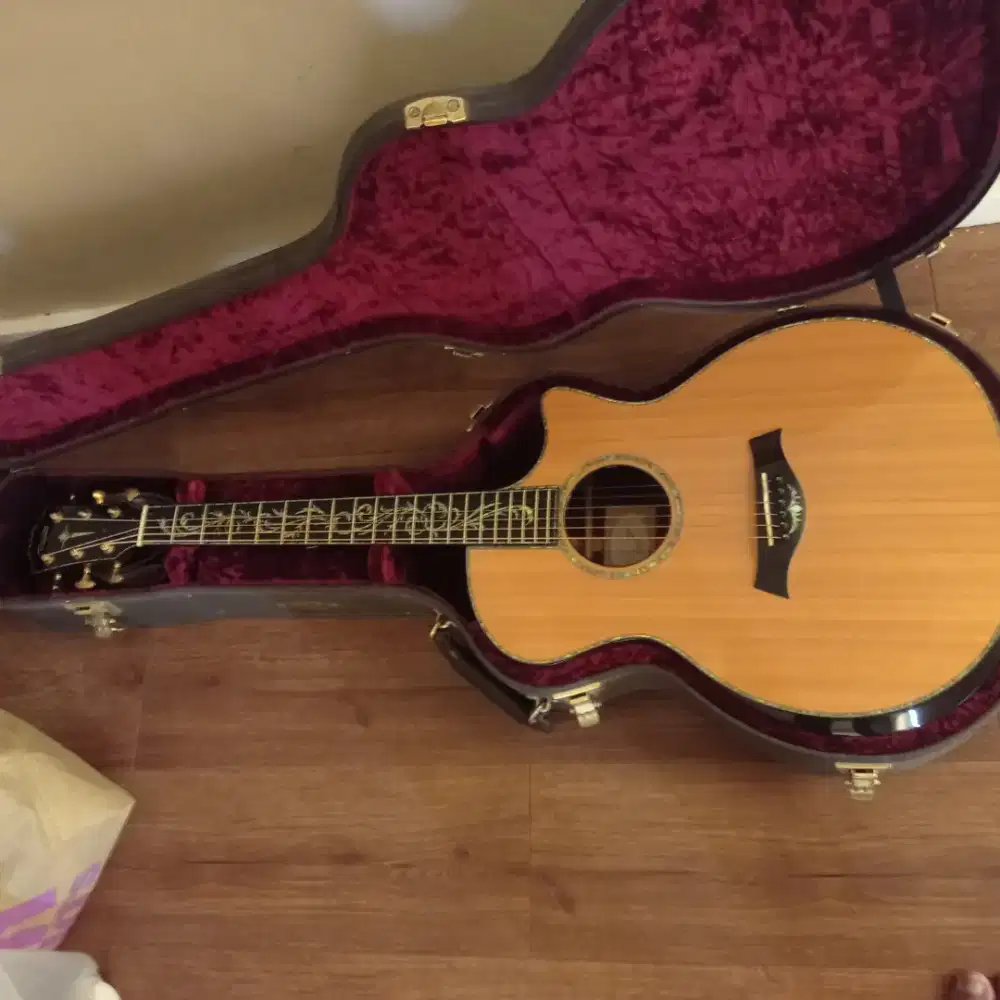 Taylor guitar PS14ce presentation series