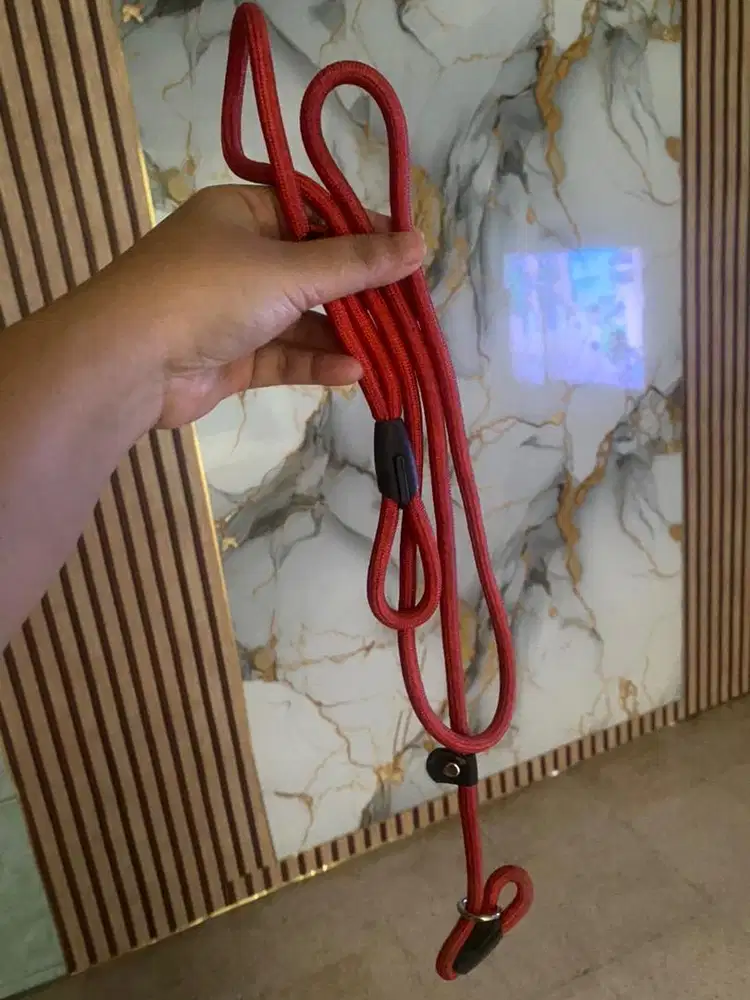 Tali herness anjing/ kucing