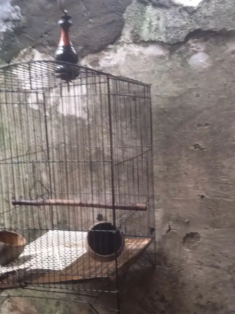 Kandang kotak besi no2