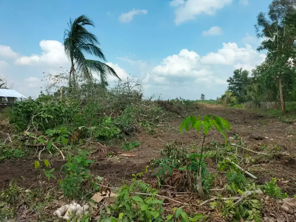 jual tanah kavling 300m 10juta (Pinggir jalan)