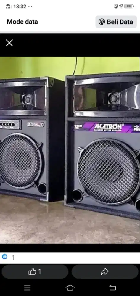 PROMO SPEAKER KARAOKE 12IN