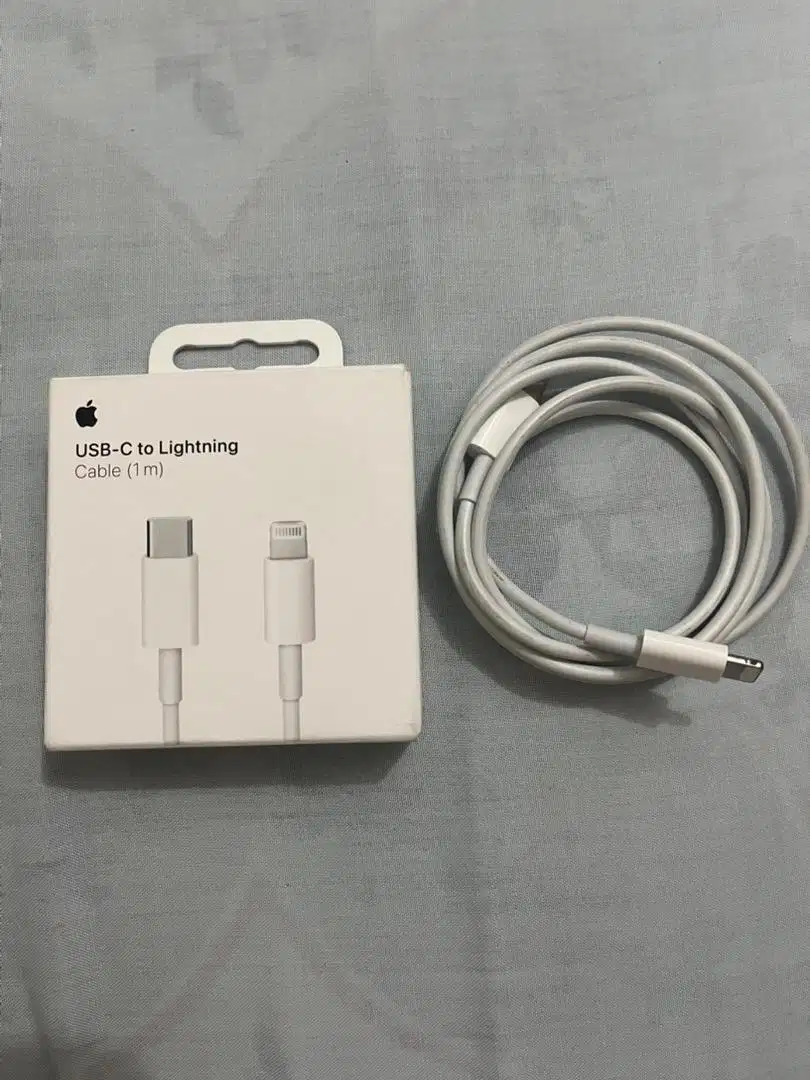 USB C to Lightning
