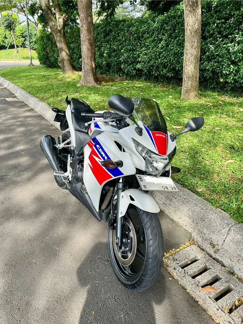 HONDA CBR 250R RWB terawat