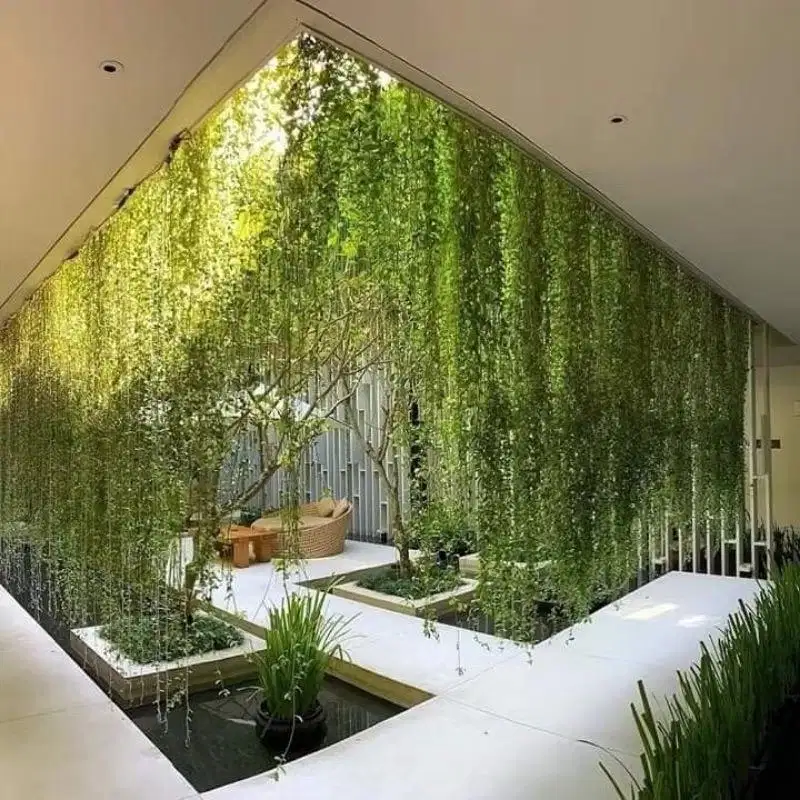 Taman minimalis jenis lee kwan yew