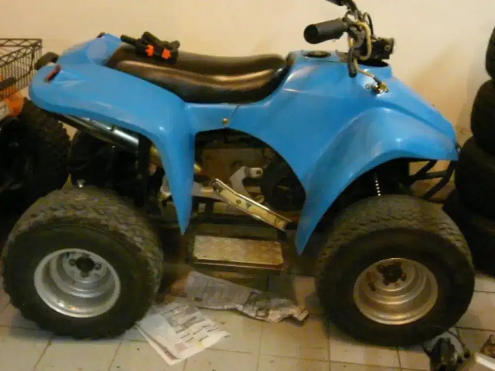 ATV(all terrain vehicle)