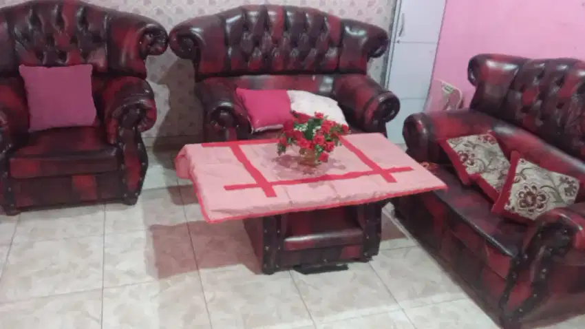Sofa maroon jaguar