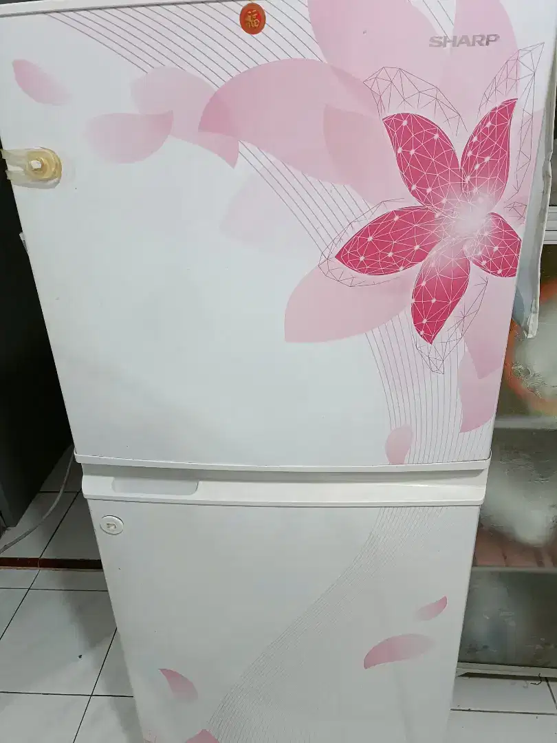 Kulkas Sharp 2 pintu