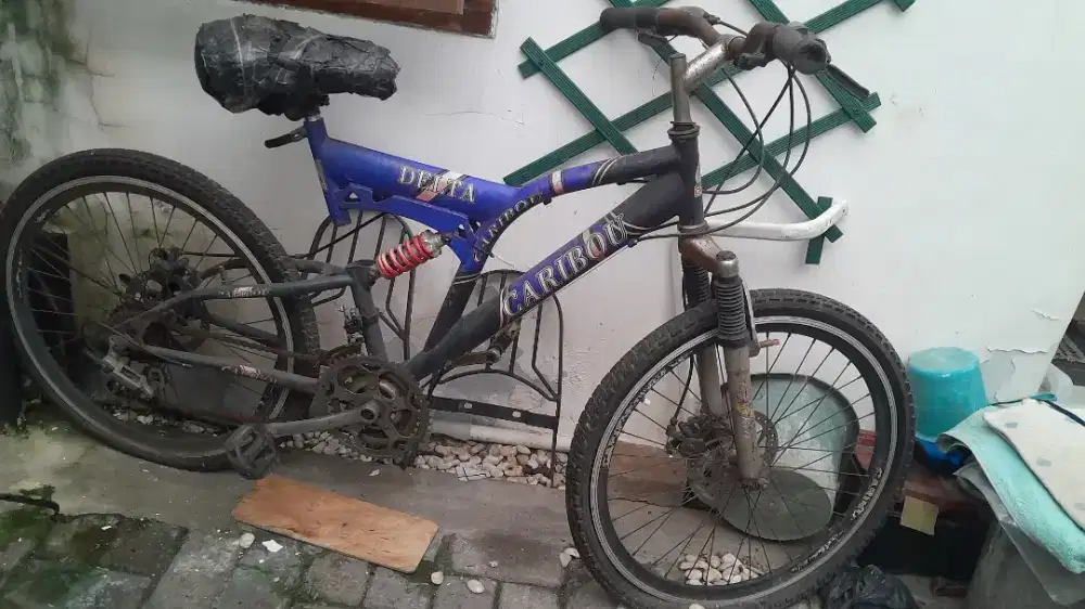 Sepeda Caribou Delta 24