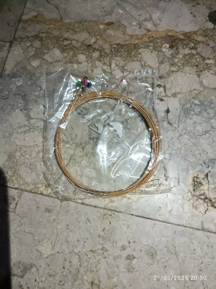 Senar akustik daddario