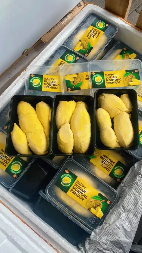 montong durian singaraja