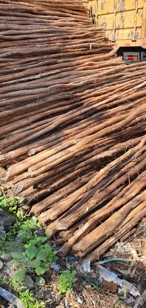 Jual kayu alba, dolken dll untuk kontruksi bangunan