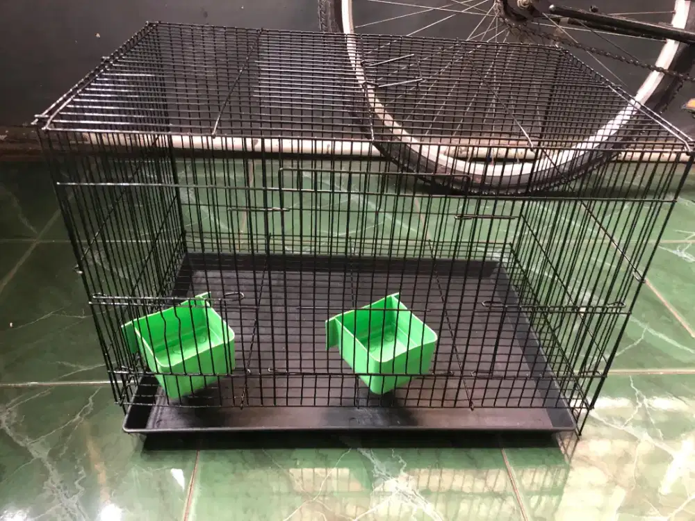 Kandang ukurang 45 cm