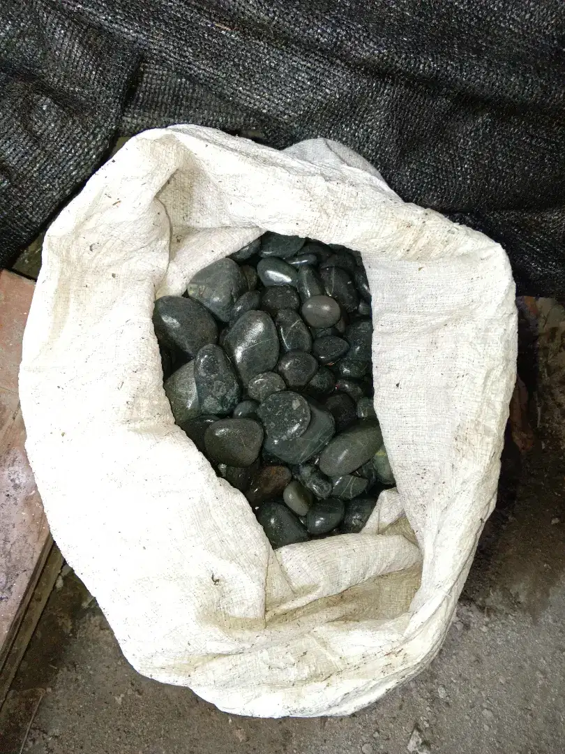 Jual Batu Koral Hitam Bengkulu Ukuran Sedang 40 - 50 KG