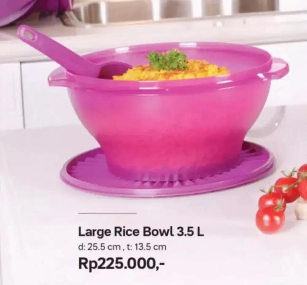 Large Rice Bowl Tupperware