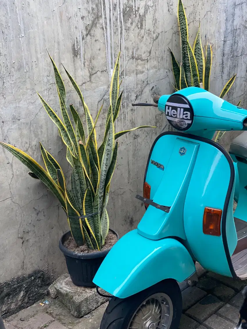Vespa corsa automatic