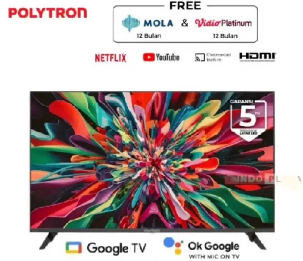 TV POLYTRON 43 INCH SMART GOOGLE DIGITAL TV PLD-43RG9059