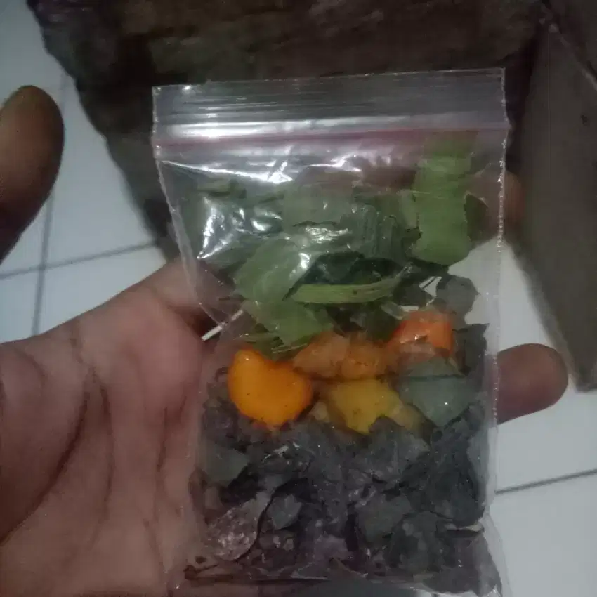Jamu godog promil (program hamil) wanita & pria
