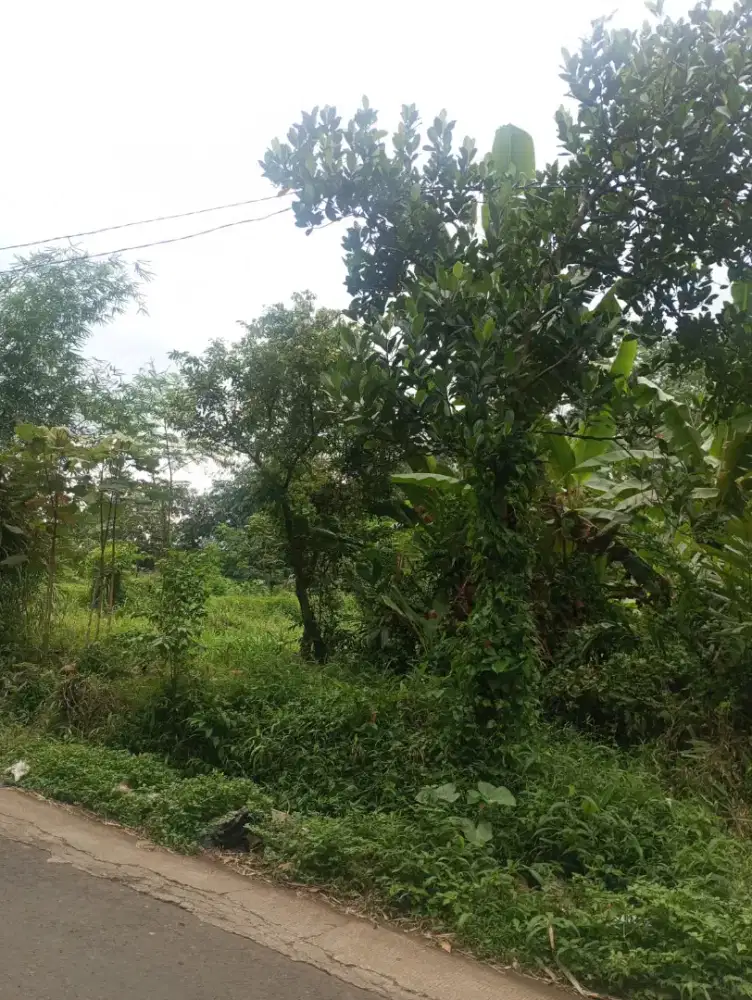 Dijual tanah dijabung kab malang