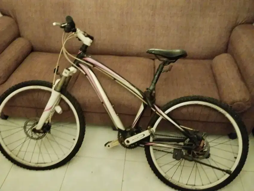SEPEDA POLYGON CLEO 3.0 SPECIAL EDITION FOR WOMAN