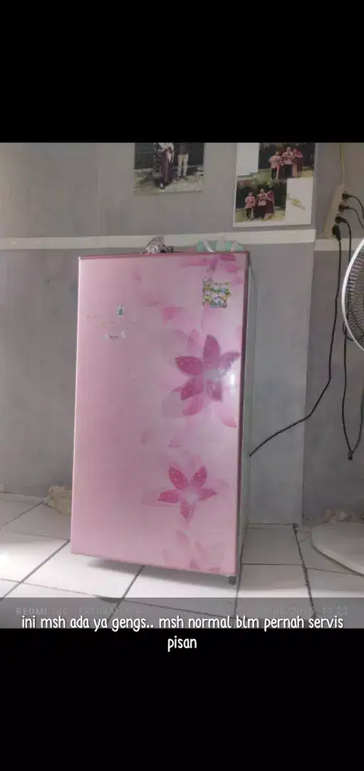 kulkas 1 pintu sharp