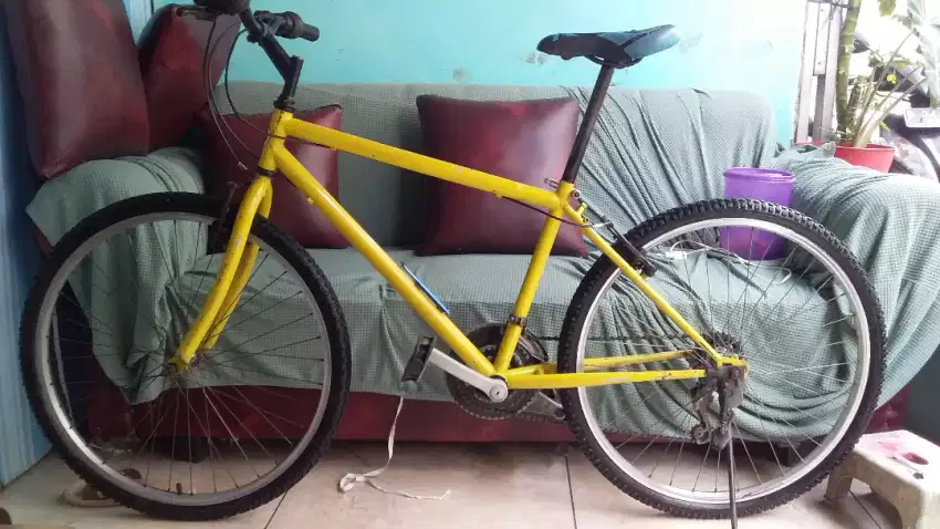 Mtb polygon R 26 cat repaint
