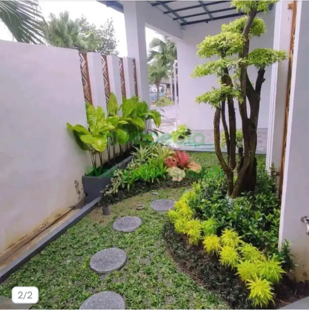 Taman rumput blakang rumah