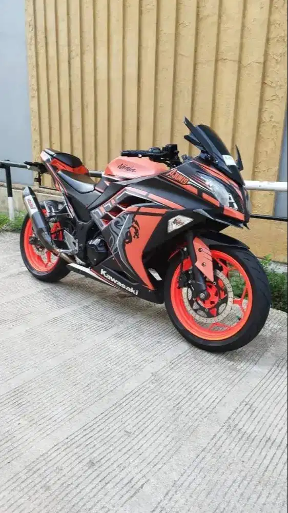 Kawasaki Ninja FI 250 SE 2017