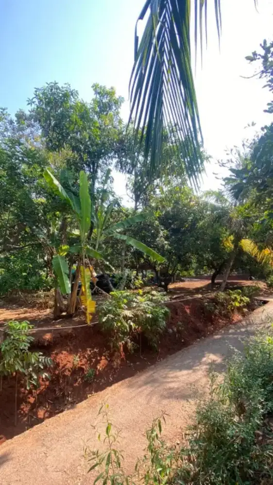 JUAL TANAH DARAT/DATAR (BU)