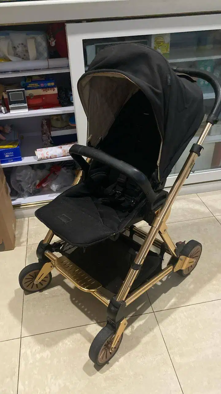 Jual Stroller dengan penutup kepala