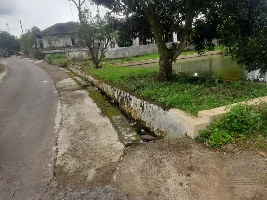 Kolam ikan + Sawah 10.640 m2 Hanya 130rb/ m2
