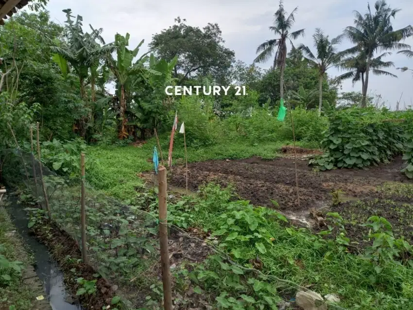 Tanah Strategis Di Kampung Balong Sambi Tambelang