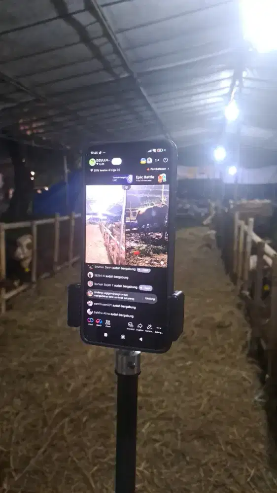 DICARI TEAM FREELANCE