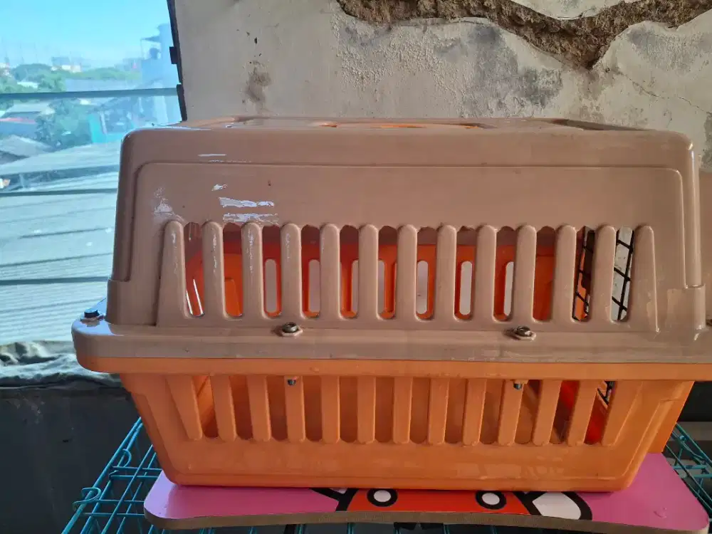 Pet cargo kucing bekas