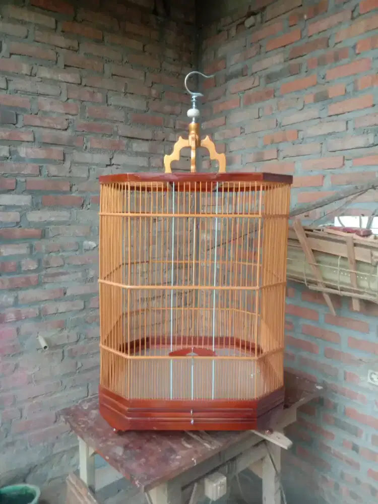 Sangkar burung cicak Rowo.  K  jati