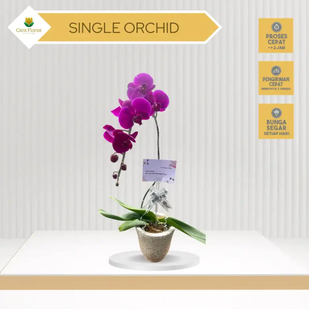 Bunga Meja Anggrek Untuk Ucapan Ulang Tahun / Grand Opening