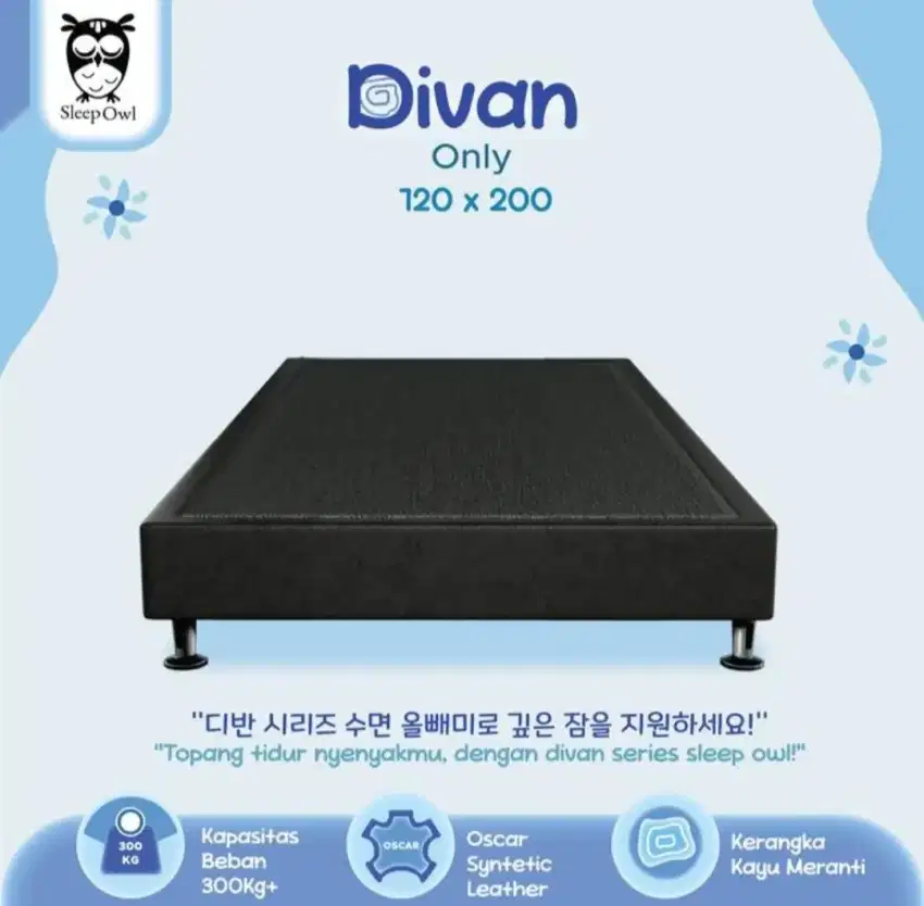 Dipan / Divan Sleep Owl