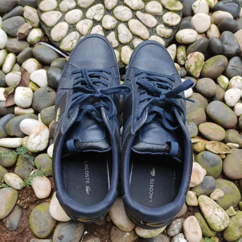 Sepatu Lacoste Chaymon Biru Navy (44)