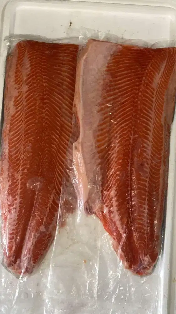 Supplier Daging Salmon Kalimantan